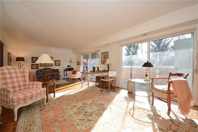 Tons of natural sun light flood living room.