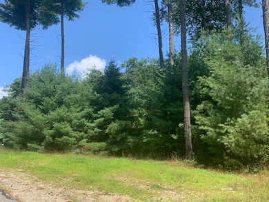 22 Trailside Way, Bridgton, ME 04009 - photo 3