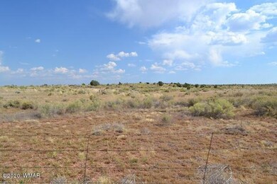 8775 E Concho Highway 001