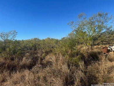 LOTS 2453-2455 Avenue J, Christine, TX 78012 - photo 4