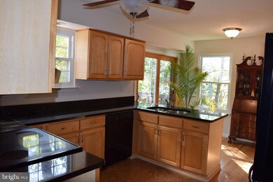 1171 Neptune Place, Annapolis, MD 21409 - photo 6