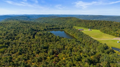 135 Sparrowhawk Lake Rd, Schenevus, NY 12155 - photo 2