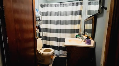 307 NE 2nd St, Fairfield, IL 62837 - photo 5