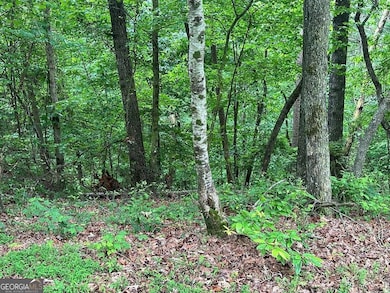 Lot 59 Timberwalk Dr unit 59, Ellijay, GA 30540 - photo 6