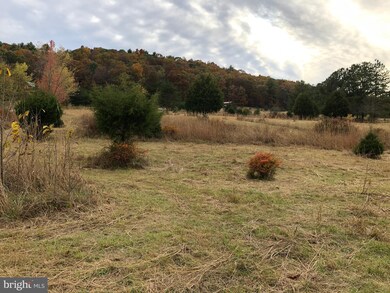 0 River Bend Dr, Bloomery, WV - photo 4