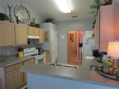 24614 Calusa Blvd, Eustis, FL 32736 - photo 7