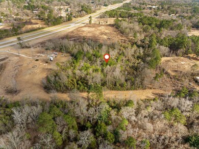 0 Evelyn Gandy Place unit 141306, Hattiesburg, MS 39402 - photo 5