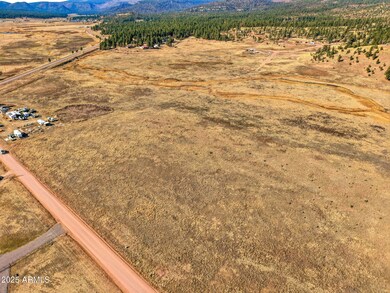 Lot 23 the Ranch at Alpine -- unit 23, Alpine, AZ 85920 - photo 4