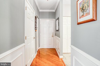 2330 14th St N unit 303, Arlington, VA 22201 - photo 4