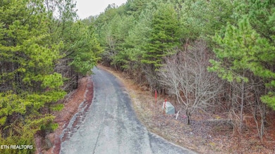 Harlan Mtn