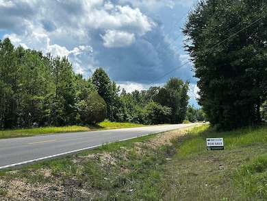 Highway 25, Fulton, MS 38843 - photo 7