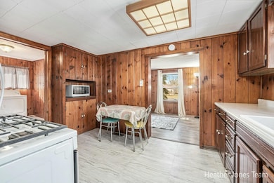 407 W Riverside Dr, Ionia, MI 48846 - photo 7