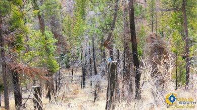 0 Swamp Creek Rd unit 25712607, Plains, MT 59859 - photo 6