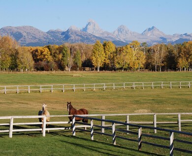 Horses and Tetons Paddock