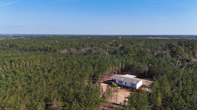 1262 Penny Morris Rd, Baxley, GA 31513 - photo 2