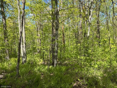 23122 435th St, McGregor, MN 55760 - photo 4