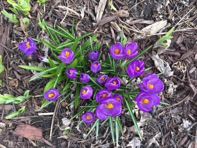 15 Deer Path, Lake In the Hills, IL 60156 - photo 4