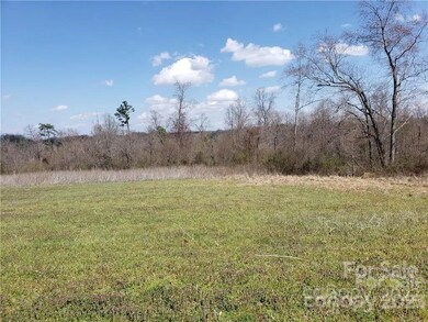 000 Bethesda Rd, Statesville, NC 28677 - photo 7