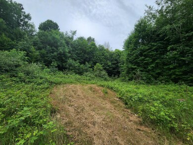 01 1 Mile Rd, Reed City, MI 49677 - photo 6