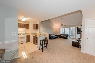 3410 Bitterwood Place unit H301, Laurel, MD 20724 - photo 5