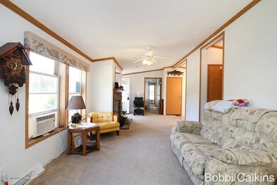 8241 Spring Rd NW, Stanton, MI 48888 - photo 4