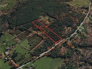 0 Bruce Porn Rd, Gilboa, NY 12076 - photo 5