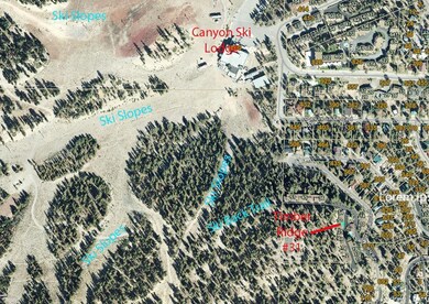 Aerial of Timber Ridge #31