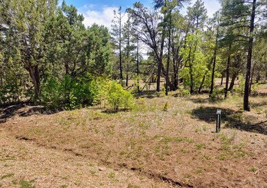 Pristine Lot