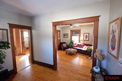313 Hubbell Ave, Mankato, MN 56001 - photo 3