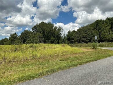 7870 N Merrimac Way, Citrus Springs, FL 34434 - photo 3