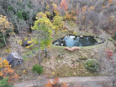 936 California Hollow Rd, Bolivar, NY 14715 - photo 4