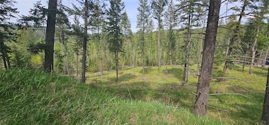 239 Stage Ridge Rd, Bigfork, MT 59911 - photo 6