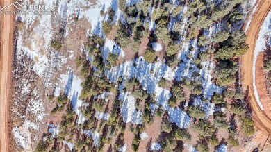 626 Little Topsey Dr, Cripple Creek, CO 80813 - photo 6