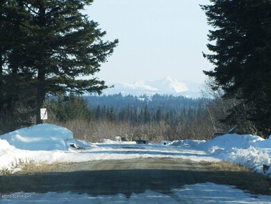 L8 B1 Laduquesa Ln, Anchor Point, AK 99556 - photo 2