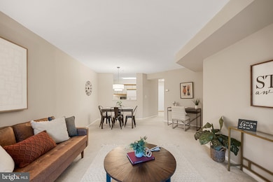 The Astoria unit 112, Arlington, VA 22201 - photo 7