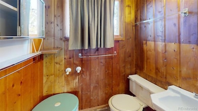 716 Doe St, Hartsel, CO 80449 - photo 6