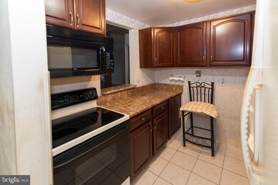 28 Allegheny Ave unit 1612, Towson, MD 21204 - photo 6