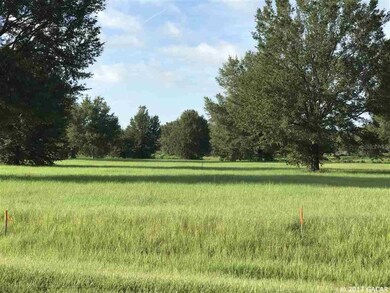 74 SW Mandiba Dr, Lake City, FL 32024 - photo 6