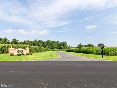 Lot 14 Price St, Easton, MD 21601 - photo 6