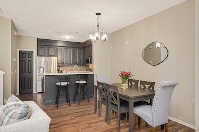 17208 72nd Ave N, Osseo, MN 55311 - photo 4