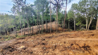 Looking at the groomed wooded area in between the two main house build sites.