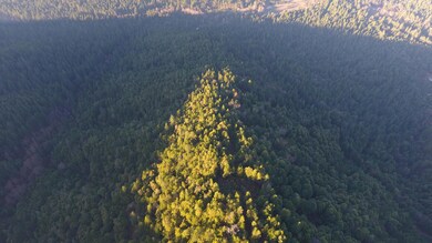 DJI_0194