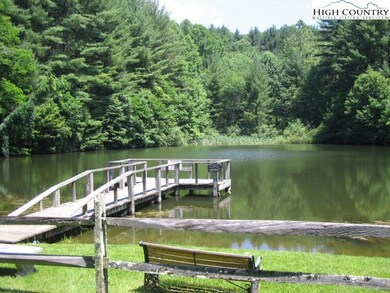 17 Panorama Dr, Todd, NC 28684 - photo 3