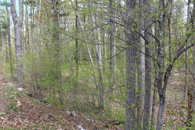 18 Ludlow Rd, Windham, NH 03087 - photo 4