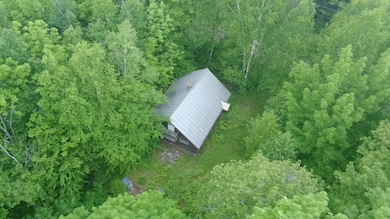 3963496_100DRONE_SING0464 2
