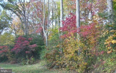 3805 Lower Marlboro Rd, Owings, MD 20736 - photo 3