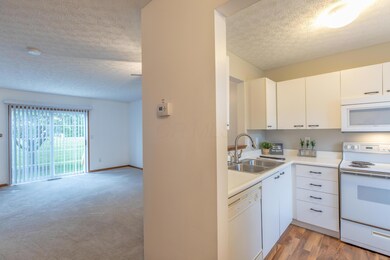 Entry to the kitchen