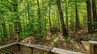 woods
