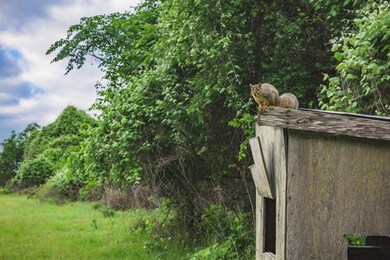 1035 Hollmig Ln, Fredericksburg, TX 78624 - photo 7