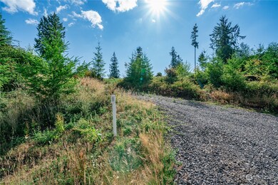 0 Lot 8 S Silver Lake Rd, Castle Rock, WA 98611 - photo 4